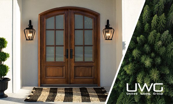 Which Door is the Best: Plastic, Iron, or Wood?