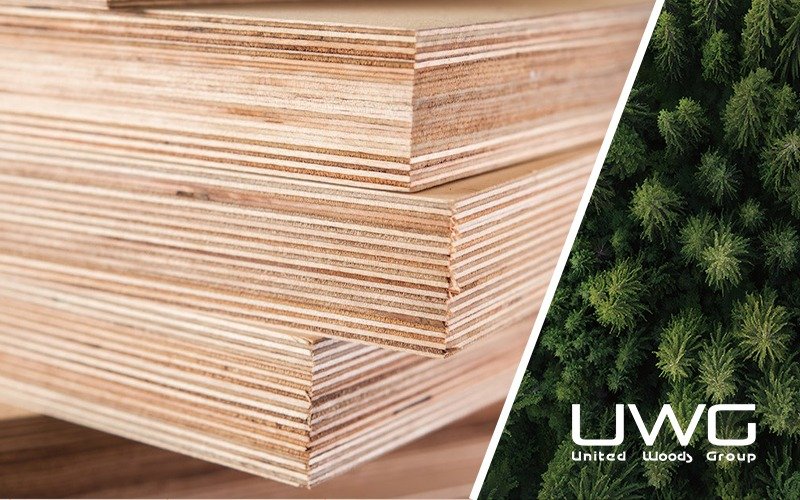 What Are the Common Materials Used for Molded Door Skins?