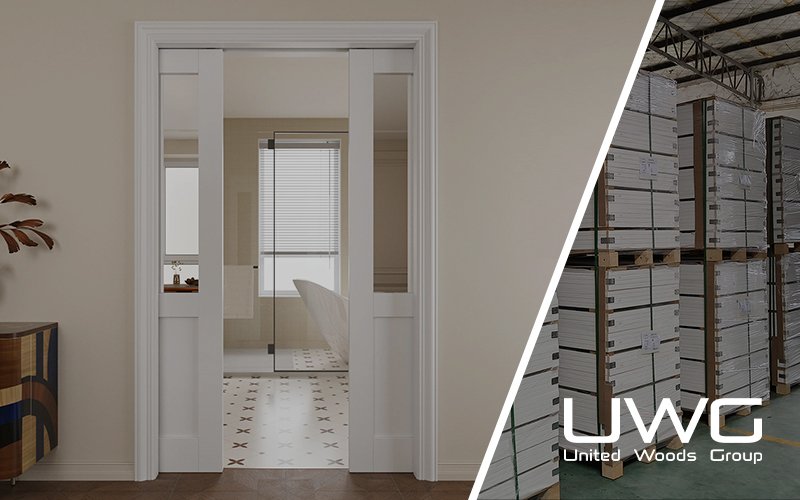 double pocket door
