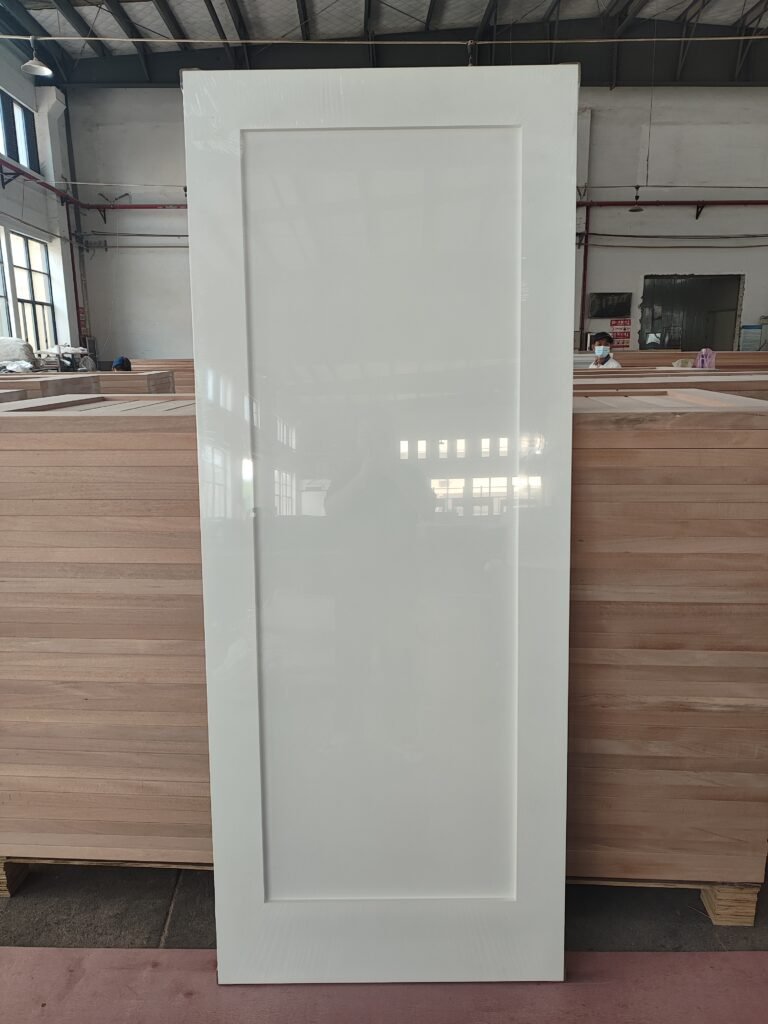 1 panel door slab